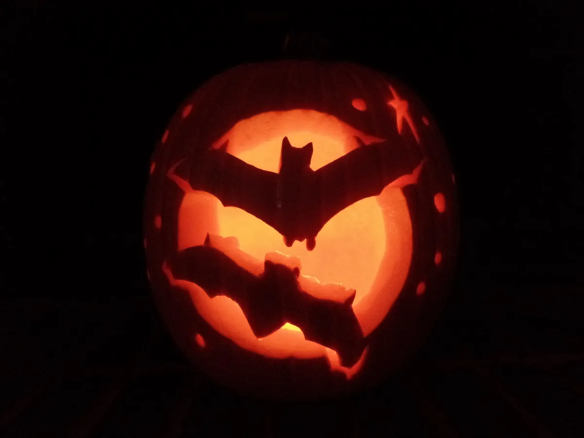 A pumpkin in darkness, lit up from within to show the carving of a circle with two flying bat silhouettes.