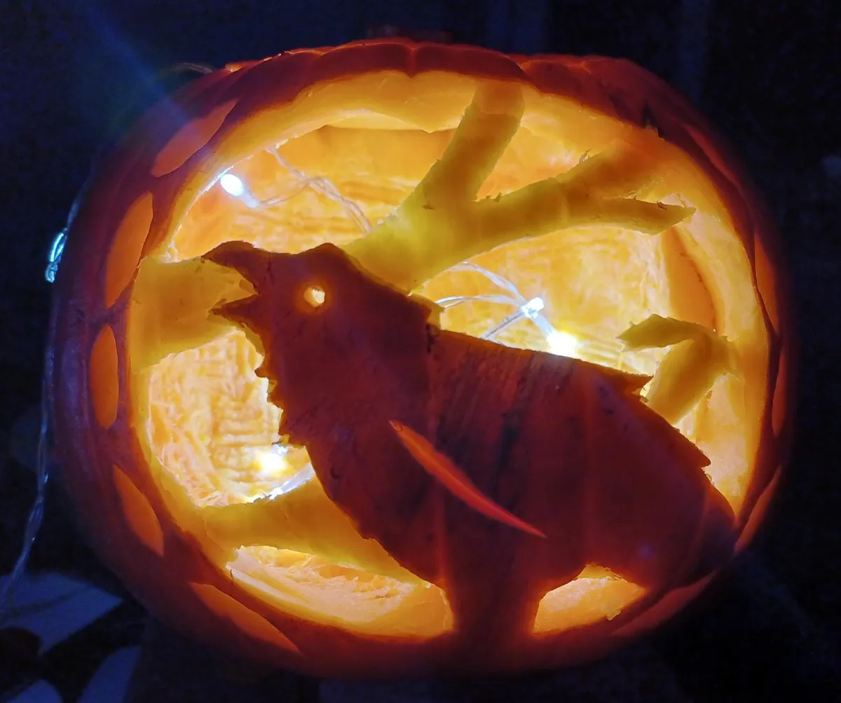 A pumpkin in darkness, lit up from within to show the carving of a corvid cawing with faint branches carved into the pumpkin behind its silhouette