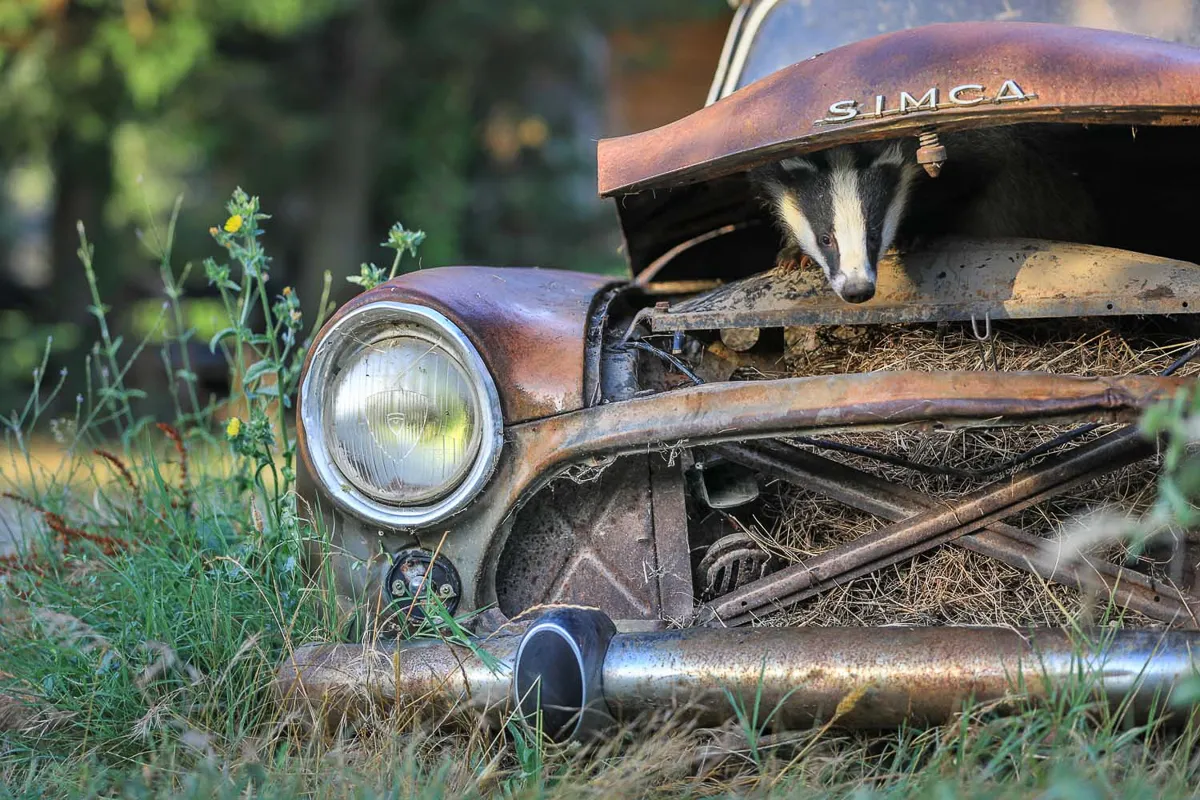 Category: Men and Nature, Highly commended: Playing in a vintage car ©Nicolas de Vaulx/GDT 2021
