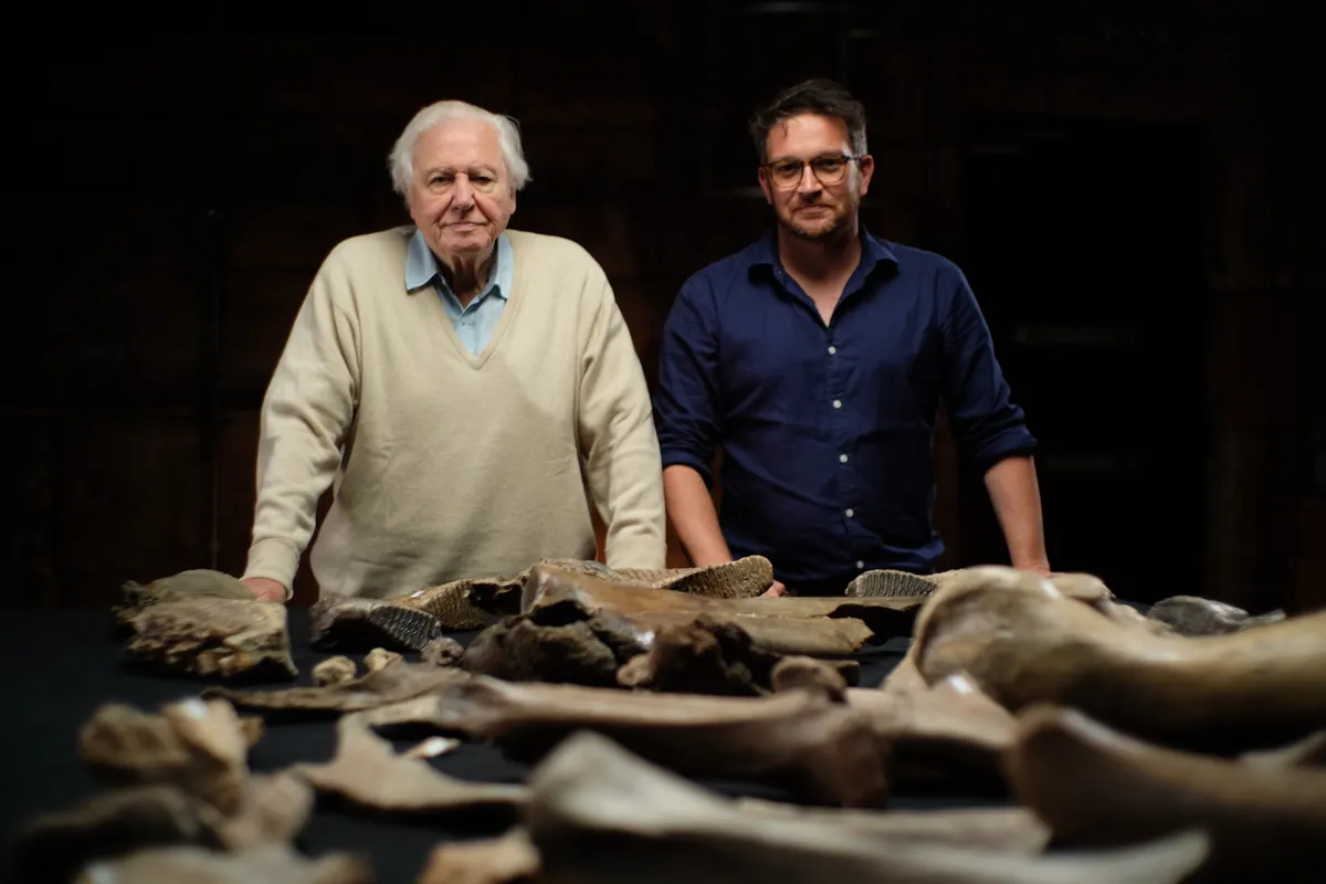In the programme, David Attenborough and Ben Garrod attempt to solve a prehistoric puzzle.