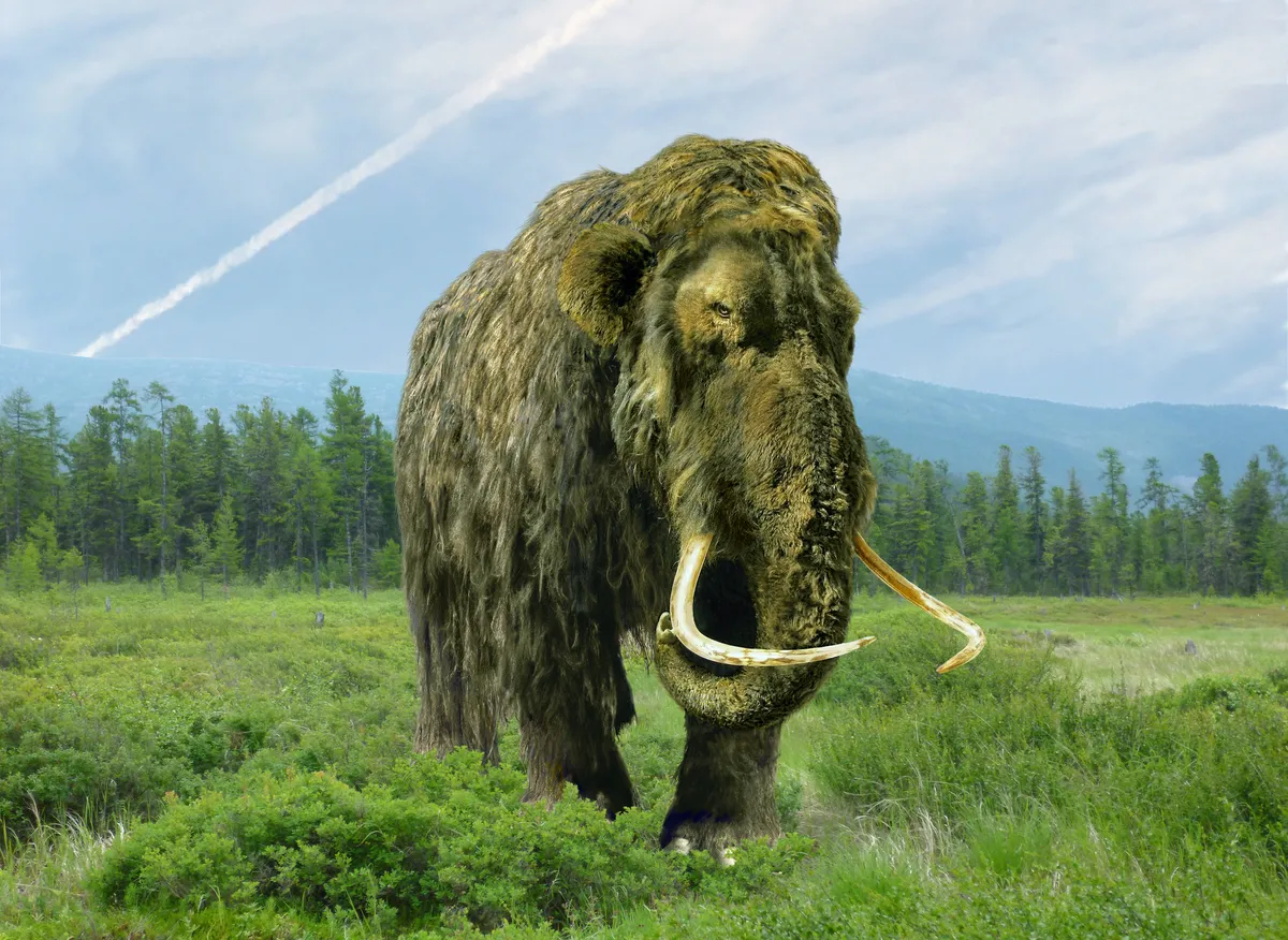 How would mammoths affect existing ecoyststems?