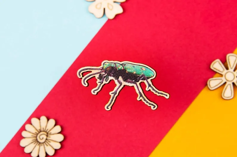 A wooden green tiger beetle pin against a multiple coloured striped background.