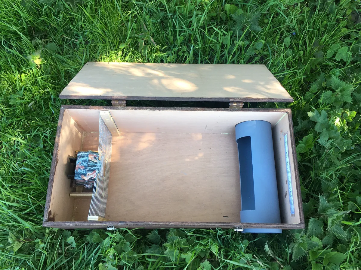 An open Mostela camera trap box.