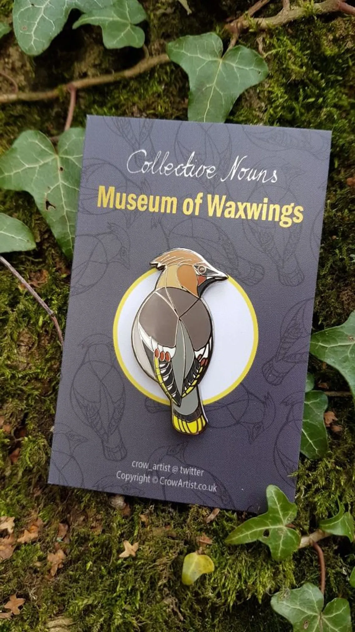 A waxwing enamel pin attached to a piece of card with greenery behind.