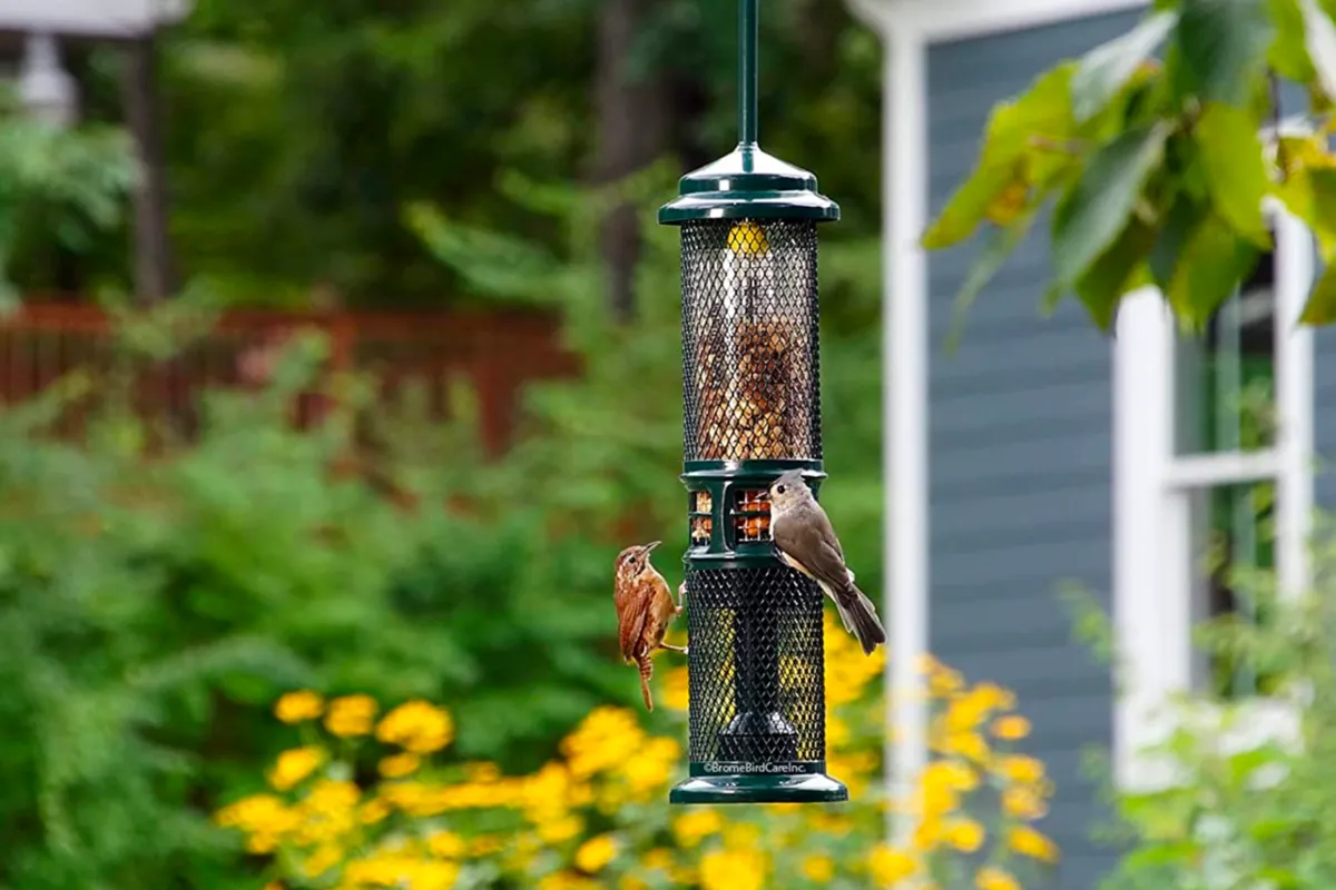 Squirrel Buster Nut Feeder squirrel-proof bird feeder