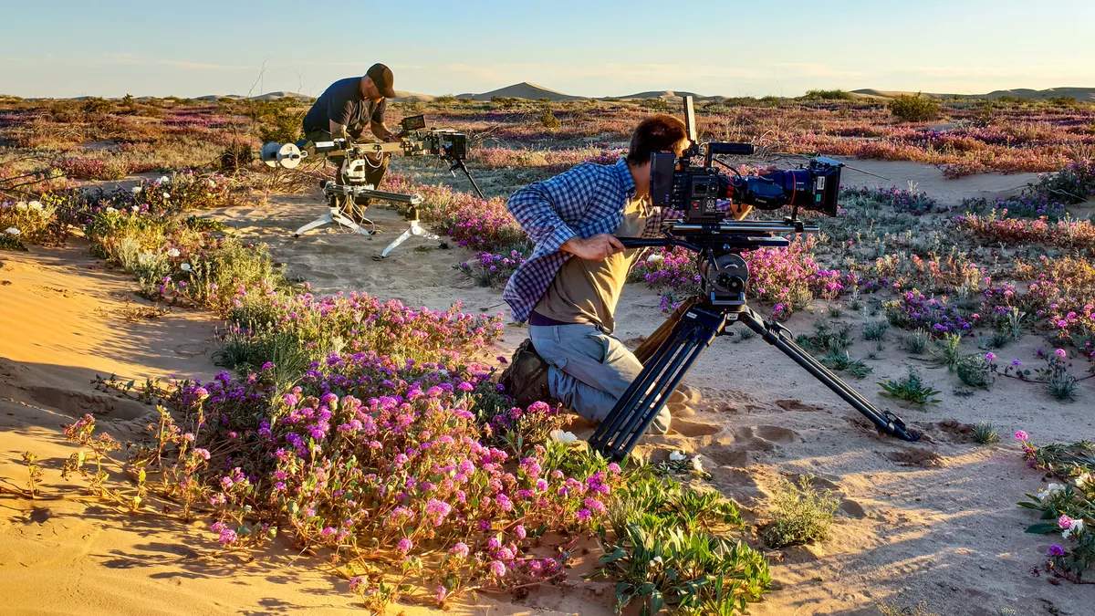 Camera operators Oliver Mueller and Chris Field film amongst a rare wild flower bloom in the Gran Desierto, Northern Mexico.