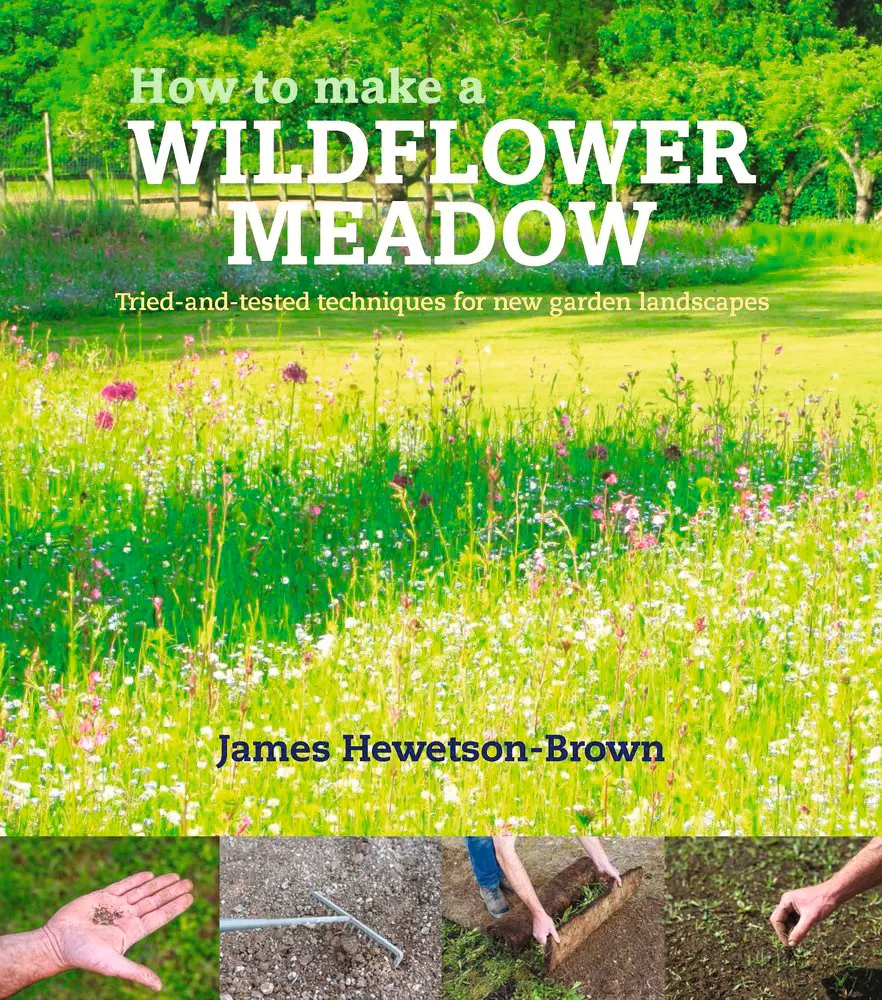 How to make a wildflower meadow book cover