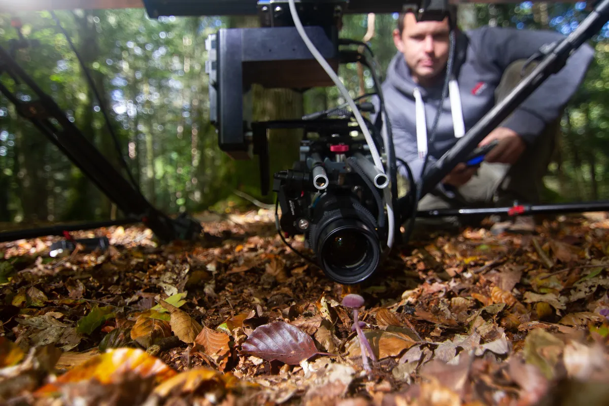 A camera operator, and a filming system pointing at the forest floor.