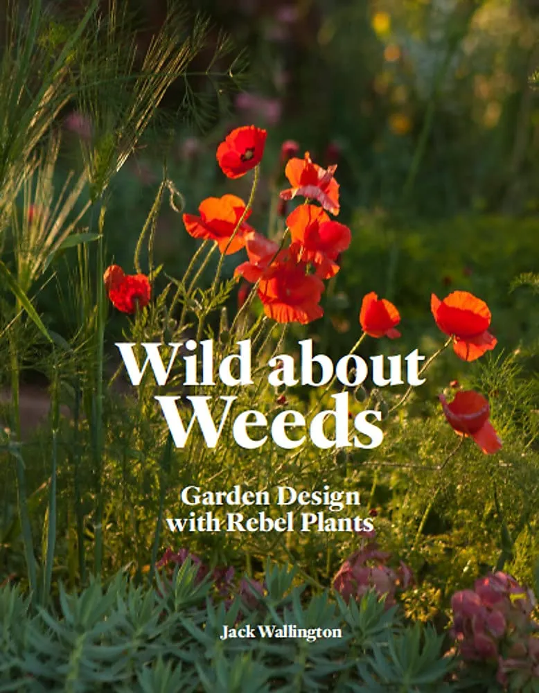 Wild about Weeds book cover