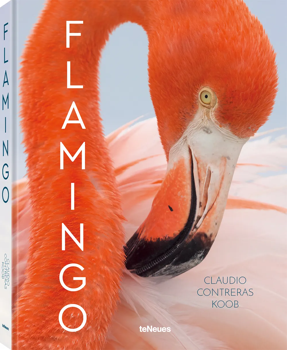 Book credit: Flamingo by Claudio Contreras Koob Image credit: 2022 © Claudio Contreras Koob