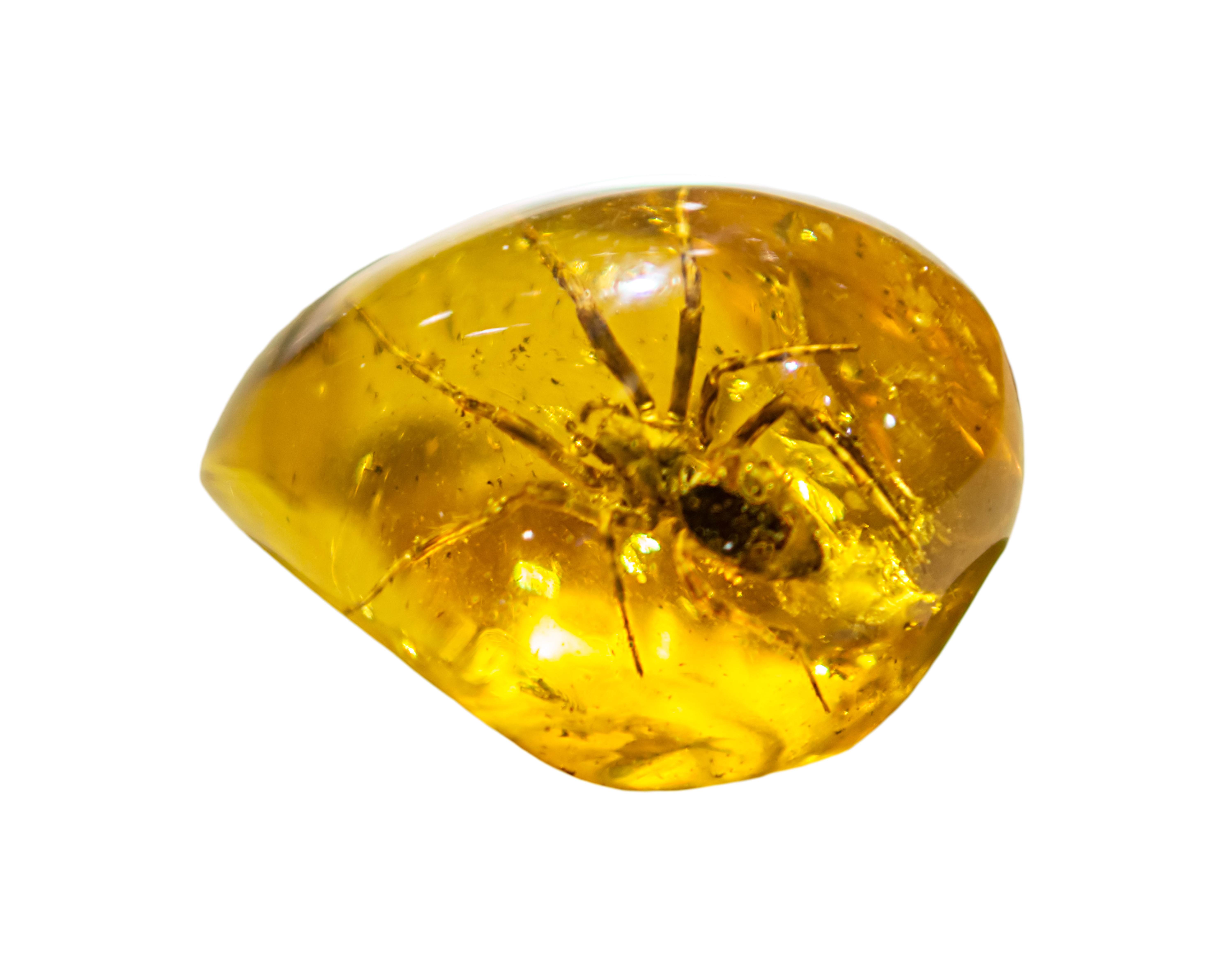 7 Amazing Facts About Amber Gemstone