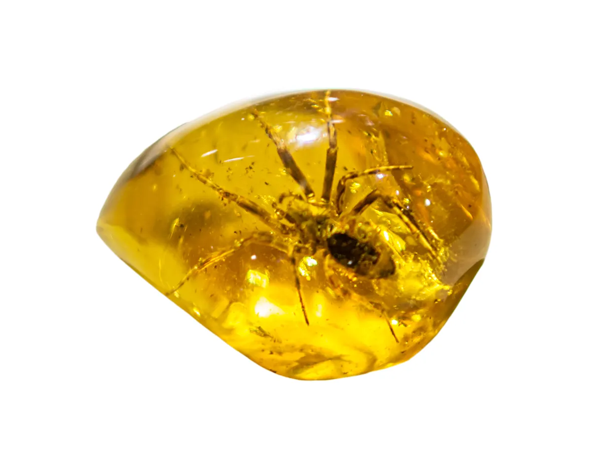 A spider trapped in amber.