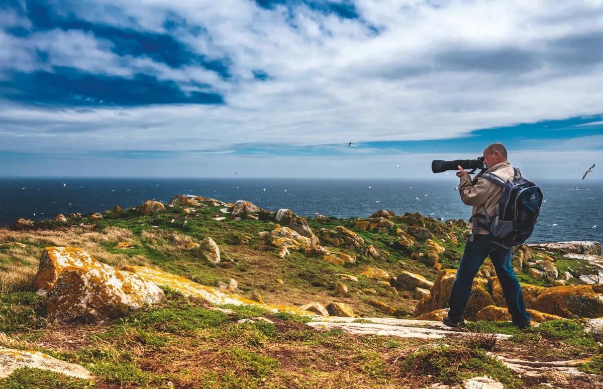 A wildlife photographer taking photos of seabirds by the coast.