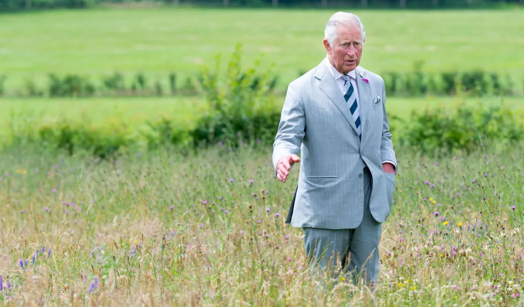 Prince Charles visits a Coronation Meadow, part of the Millenium Seed Bank, on Haywards Heath.