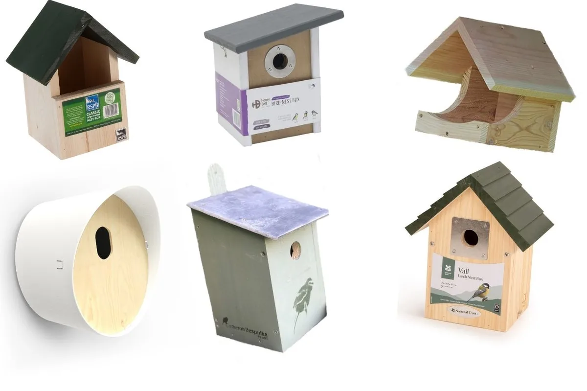 Wildlife Gardening | Discover Wildlife