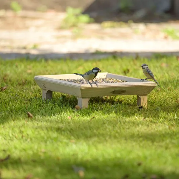 Birds on a ground feeder