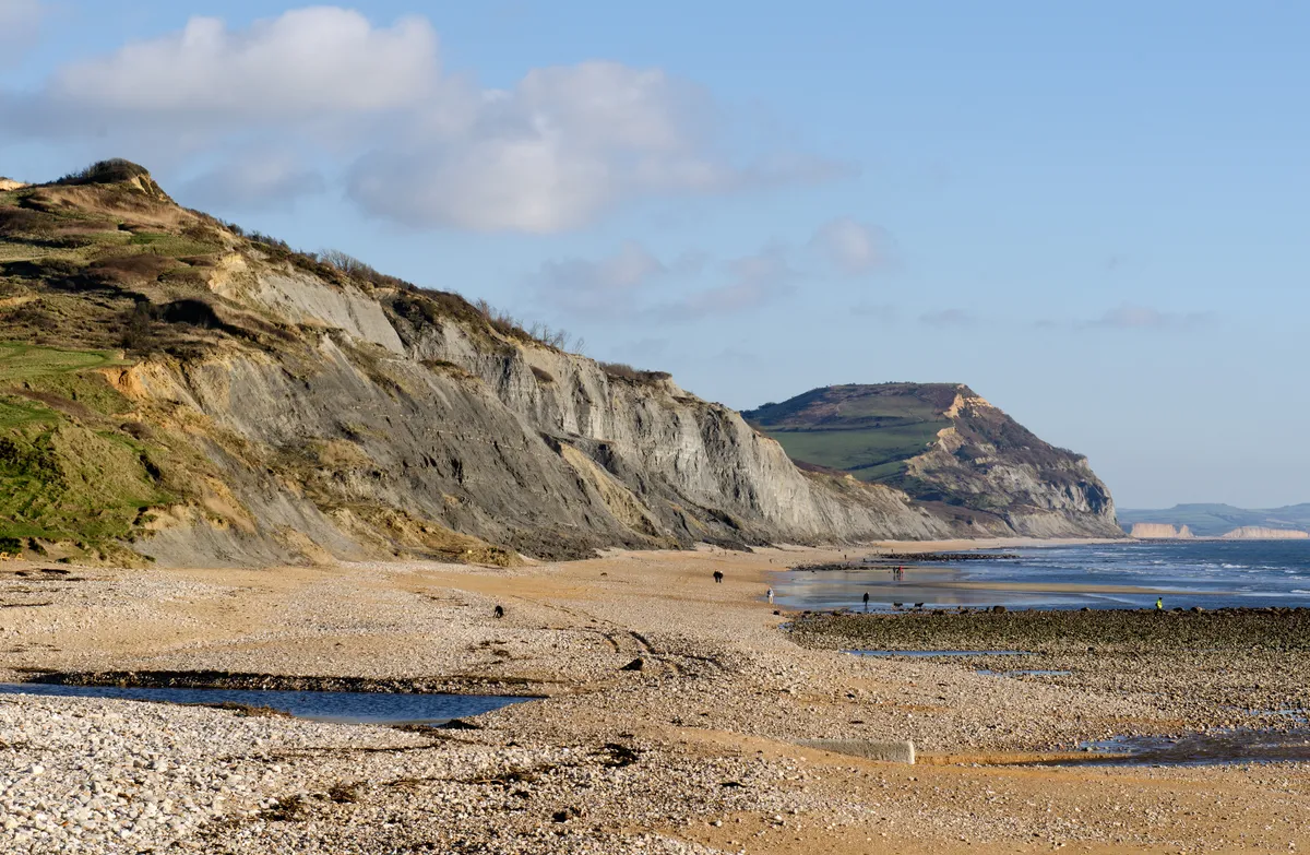 A view of the beach and cliffs at Charmouth.