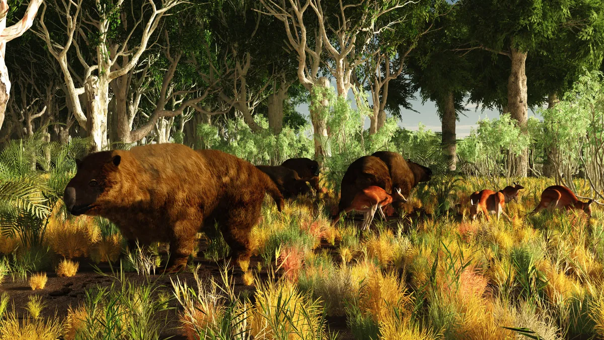 Diprotodon on the edge of a Eucalyptus forest with some early kangaroos.