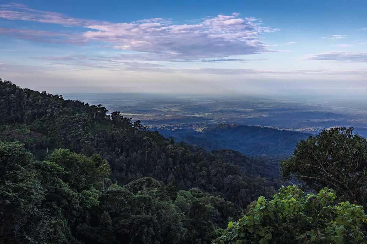 Guatemala cloud forest