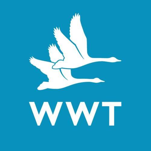 Wildfowl &amp; Wetlands Trust (WWT)
