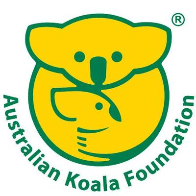 Koala guide: why do they have big noses, what they eat, and the dangers  they face - Discover Wildlife