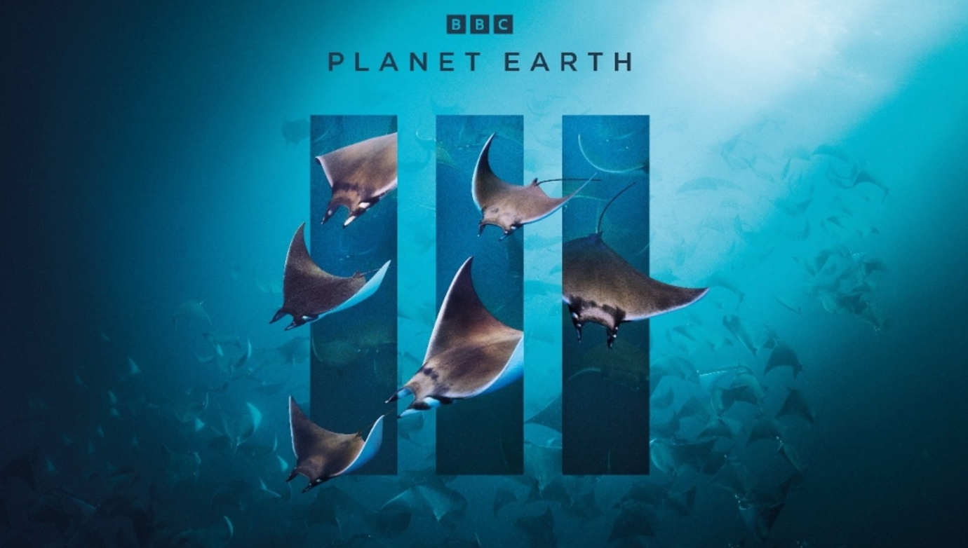 Planet Earth III episode 2: what can we expect from the ocean