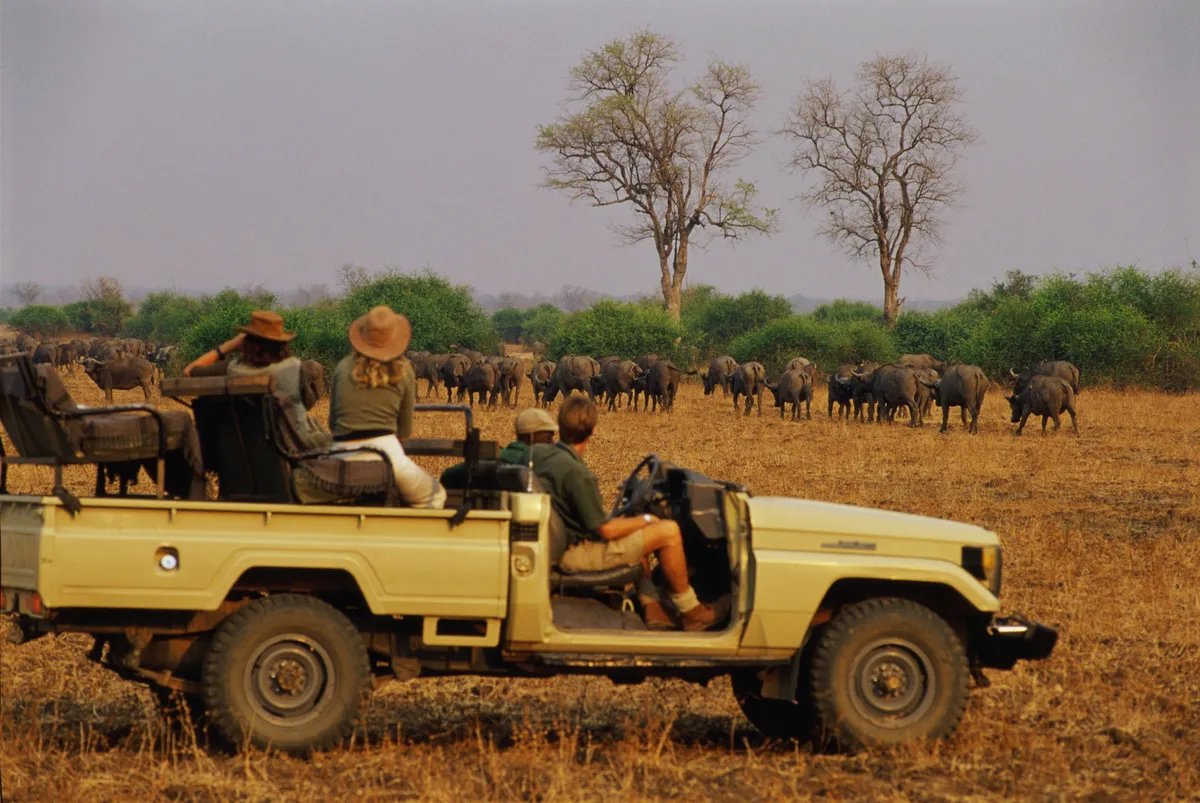 South Luangwa National Park is one of the best places to see Africa's big 5