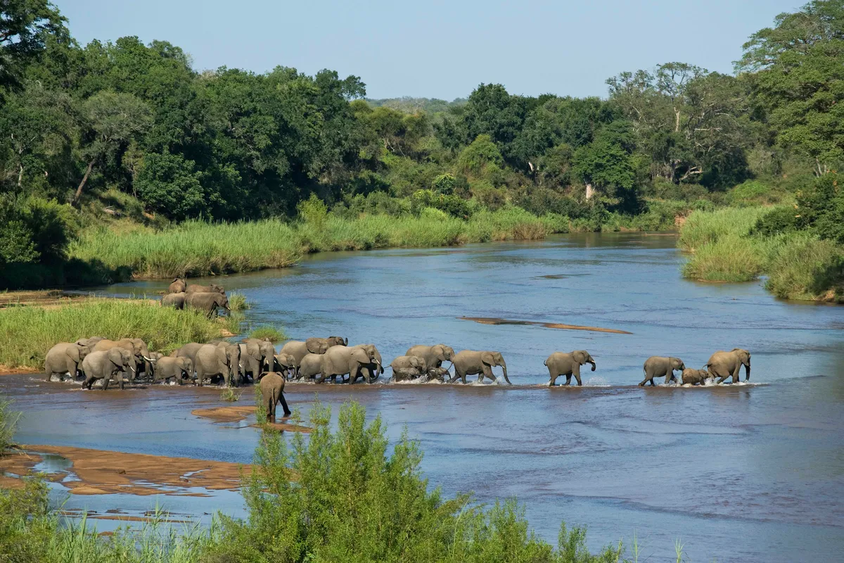Kruger National Park is one of the best places to see Africa's big five