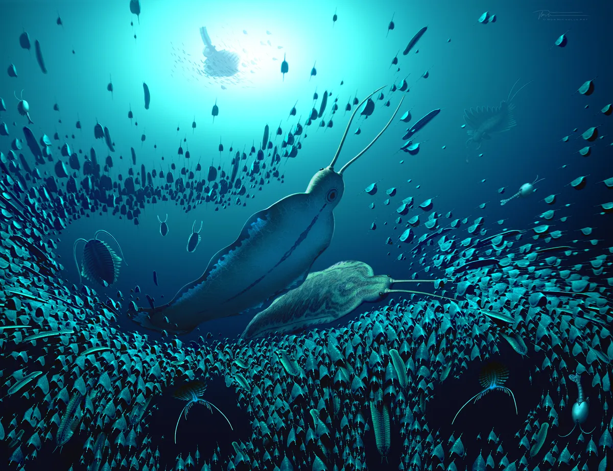 A reconstruction of the pelagic ecosystem revealing how Timorebestia was one of the largest predators in the water column