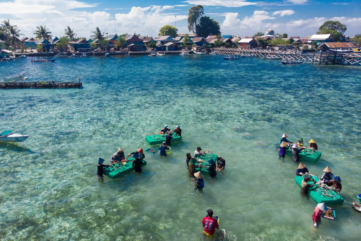 Communities in Indonesia work with Mars Sustainable Solutions to restore coral using Reef Stars