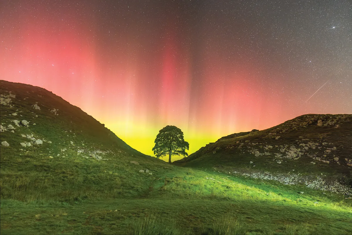 Sycamore Gap The Last Show by Ian Sproat