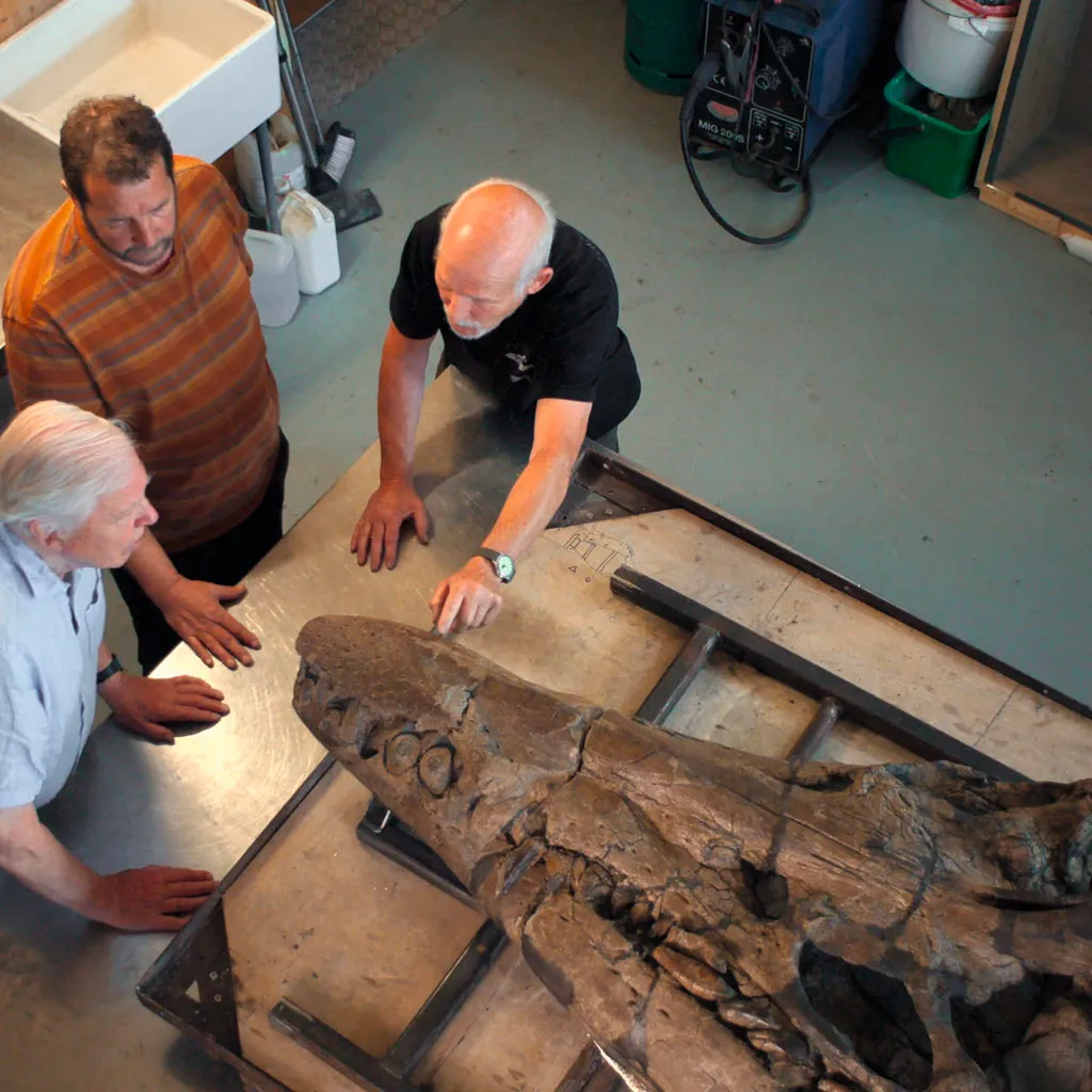 Sir David Attenborough and experts examine the pliosaur fossil