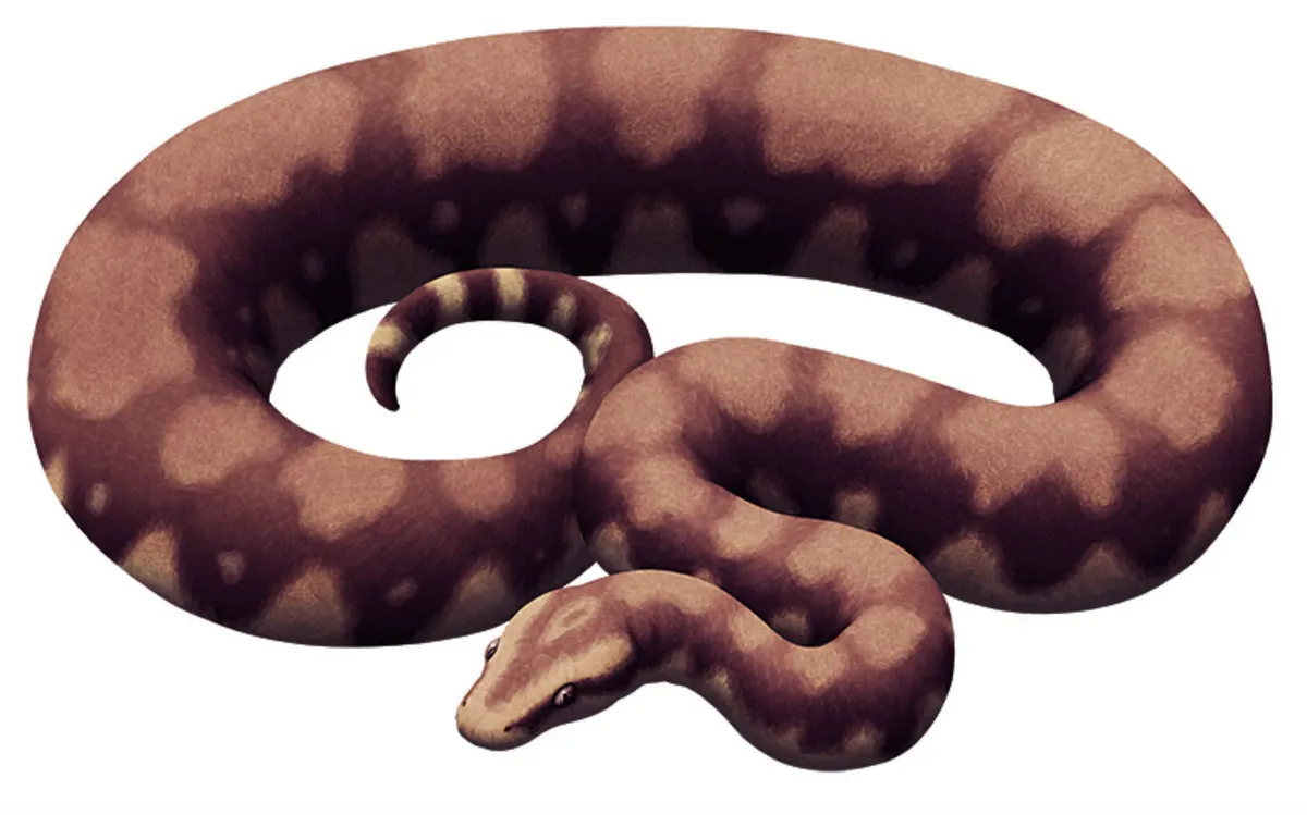 Artistic rendition of a madtsoiiid snake