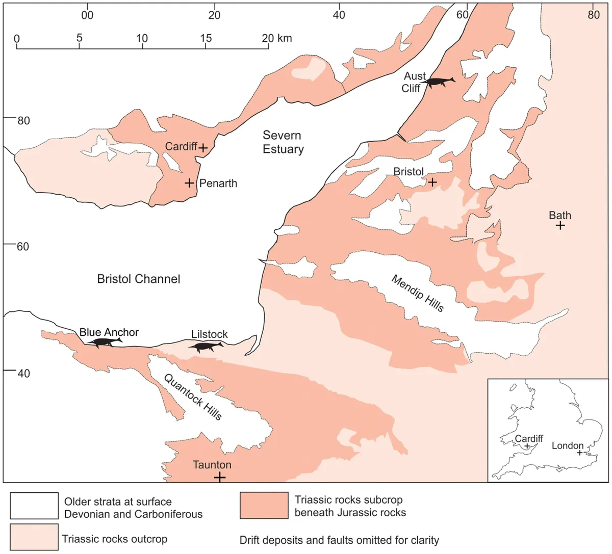 Distribution of the Triassic rocks in the Bristol Channel–Severn Estuary area and the three key ichthyosaur localities