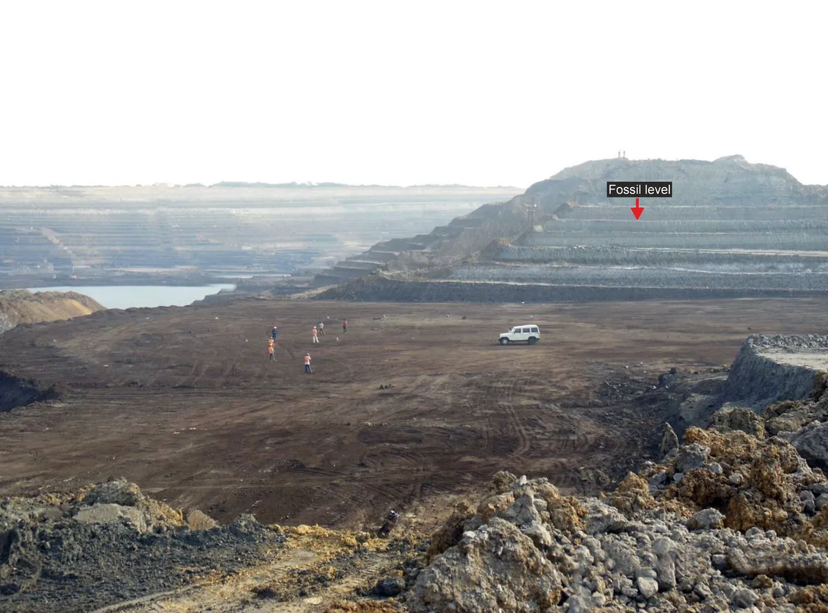 Panoramic view of Panandhro Lignite Mine showing the fossiliferous level where the 15 metre long snake Vasuki indicus was found