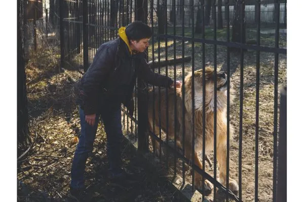 Saving Ukraine wildlife - Nataliia and the lion, Yana