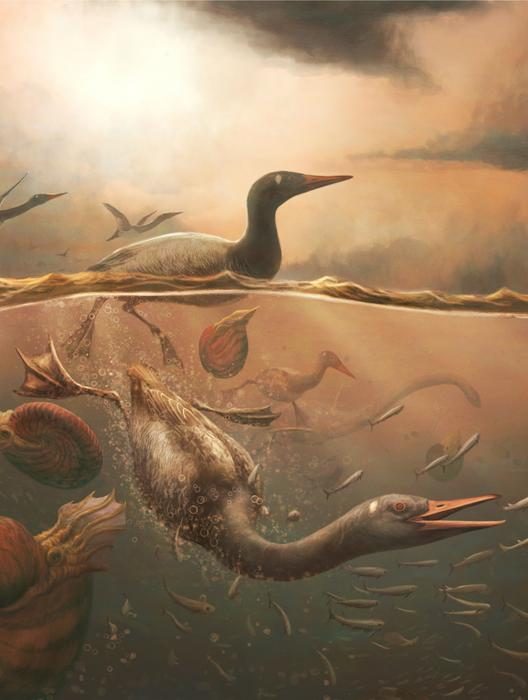 First Ever Bird New tests on rare skull from the world’s first ever bird finally ...