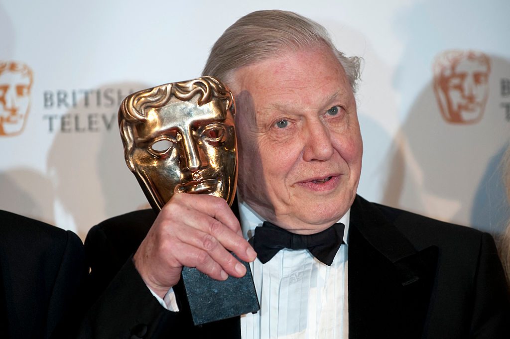 What Awards Has David Attenborough Won All You Need To Know About The What Awards Has David Attenborough Won All You Need To Know About The
