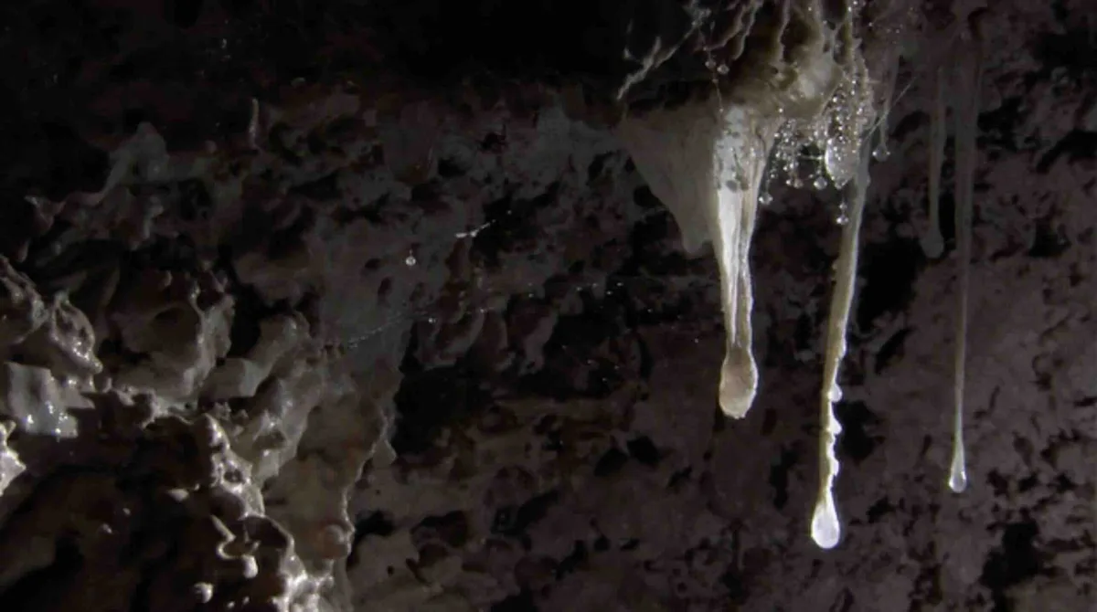 “Once they descend into the cave, they trudge 150m in the pitch black ...