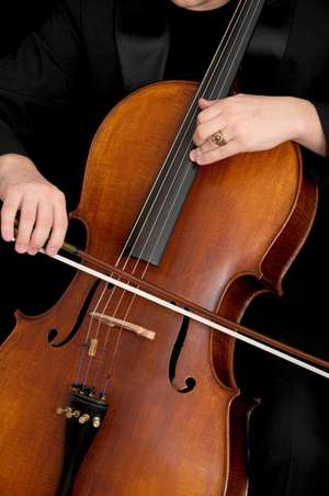 Das Orchester der Musikschule LE sucht Cellisten