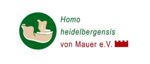 Homo heidelbergensis von Mauer e. V.
