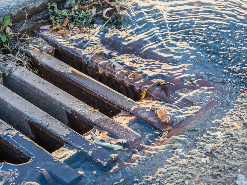 Abwasser fließt in die Kanalisation.Foto: animaflora/iStock /Getty Images Plus