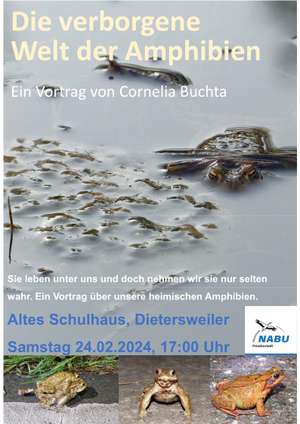 Einladung zu einem Vortrag über „Die verborgene Welt der Amphibien"