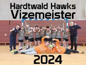 HSG Hardtwald - männliche D-Jugend - Vizemeister 2024