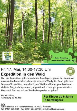 Seite 3 WaldNetzwerk - Expedition in den Wald