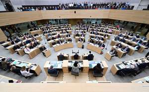 AfD größter Störenfried im BW-Parlament: viele Ordnungsrufe