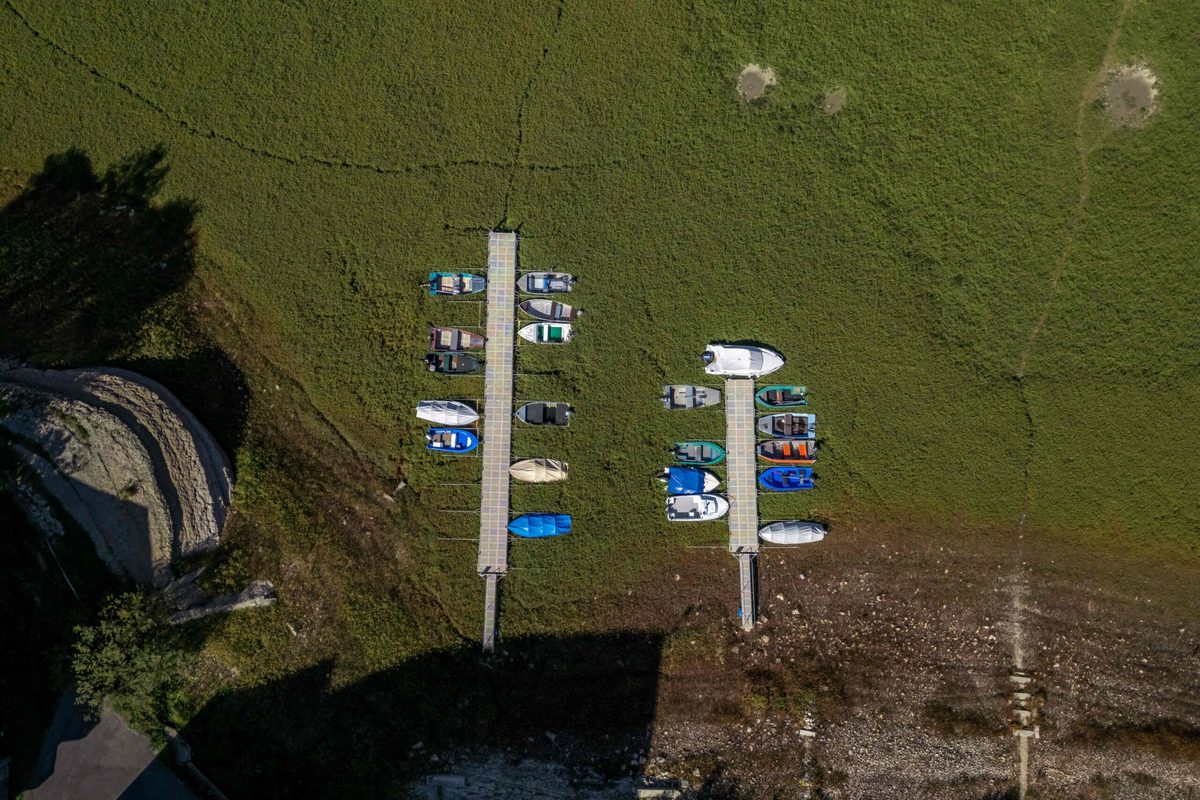 Low hydro may cause French winter power prices to spike – analyst