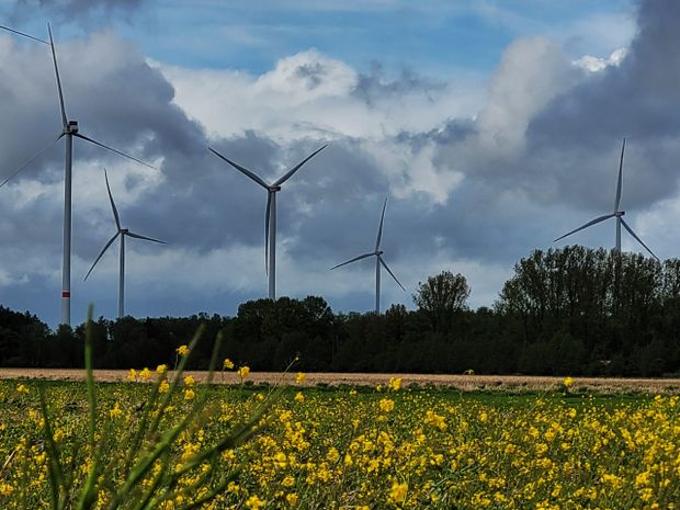 Die Windkraft sorgt in Neuenkirchen-Vörden für Frust: Das sind die Gründe