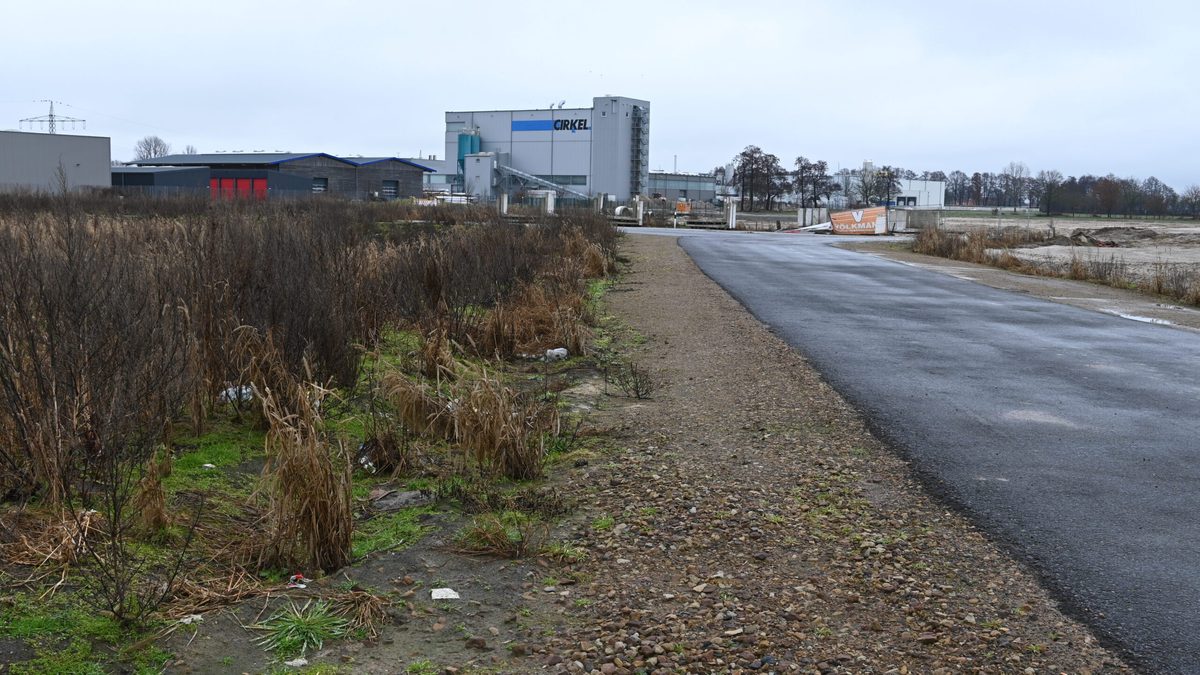 Dammer planen Motel-Bau in Neuenkirchen-Vörden