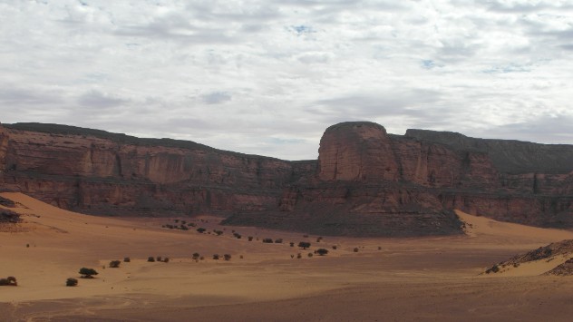 Libyan